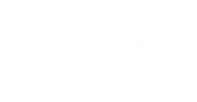 partners who work with Daman